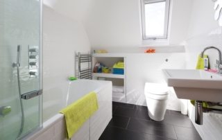 Diseño de baños combinados con un inodoro: fotos de interiores y soluciones interesantes.