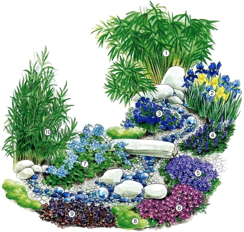 Esquema de corriente seca: bambú de rejilla de 1 hoja; 2 - híbridos de iris barbudo; 3 - lobelia; 4 - arrastrándose tenaz; 5 - Campana de Poskharsky; 6 - los híbridos son obligatorios; 7 - bruner de hojas grandes; 8 - briozoo con hojas de punzón; 9 - rastrero tenaz de hojas rojas; 10 - caña arundo Esquema de corriente seca: bambú de rejilla de 1 hoja; 2 - híbridos de iris barbudo; 3 - lobelia; 4 - arrastrándose tenaz; 5 - Campana de Poskharsky; 6 - los híbridos son obligatorios; 7 - bruner de hojas grandes; 8 - briozoo con hojas de punzón; 9 - rastrero tenaz de hojas rojas; 10 - caña arundo