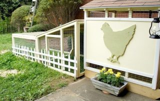 Kandang ayam DIY untuk 10 ekor ayam: gambar dan ciri pembinaan