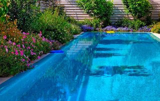 Filem PVC untuk kolam: kriteria pemilihan dan ciri pemasangan bahan