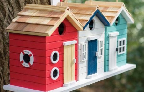 Birdhouse: dimensi, gambar dan cadangan untuk membuat perumahan burung